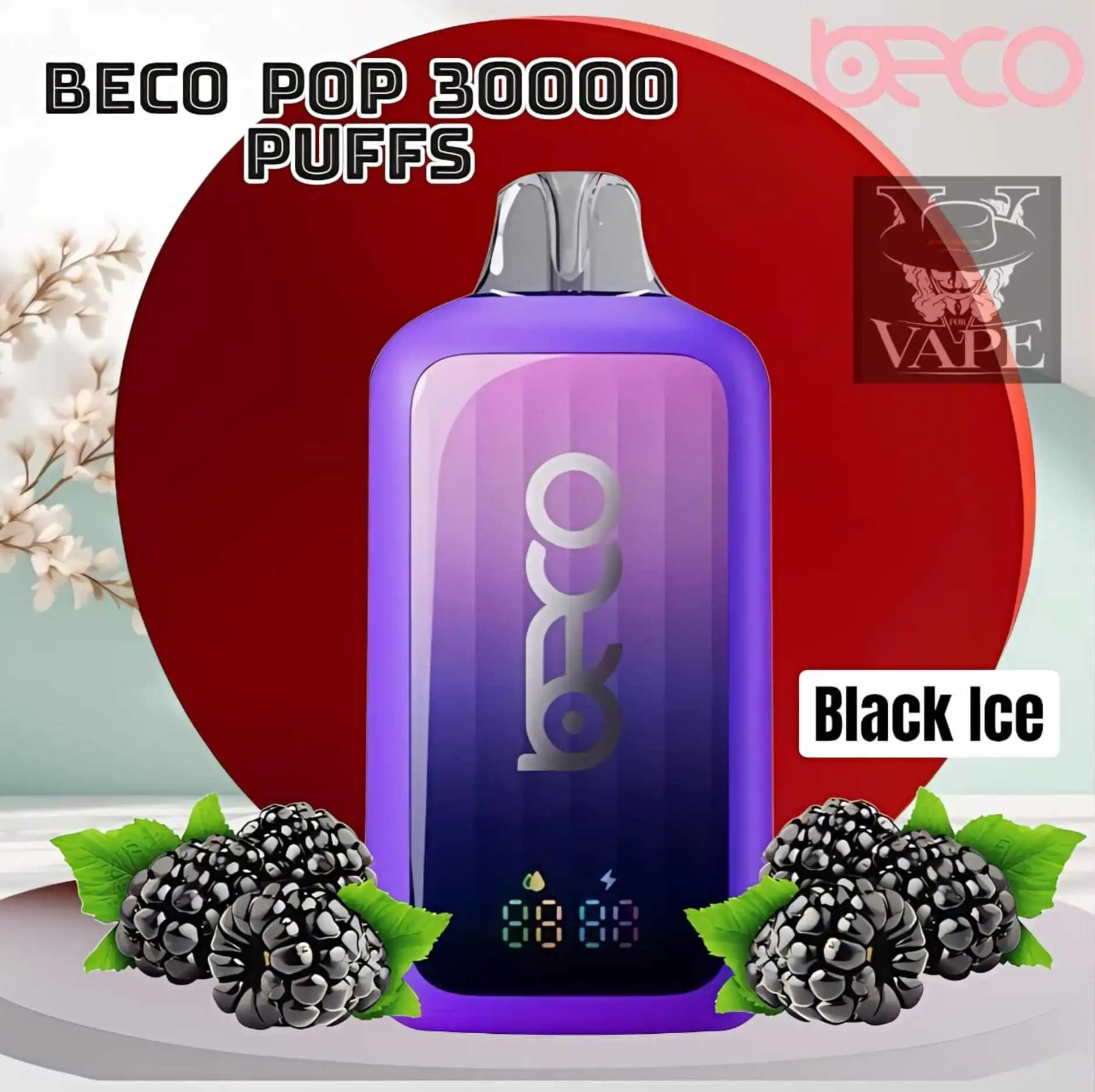 BECO POP 30000 Puffs Disposable Vape | 30K 20MG - Dubai UAE